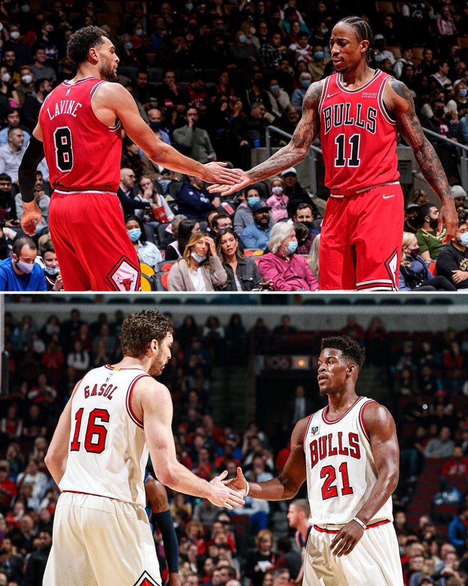 不仅展示了 不仅展示了